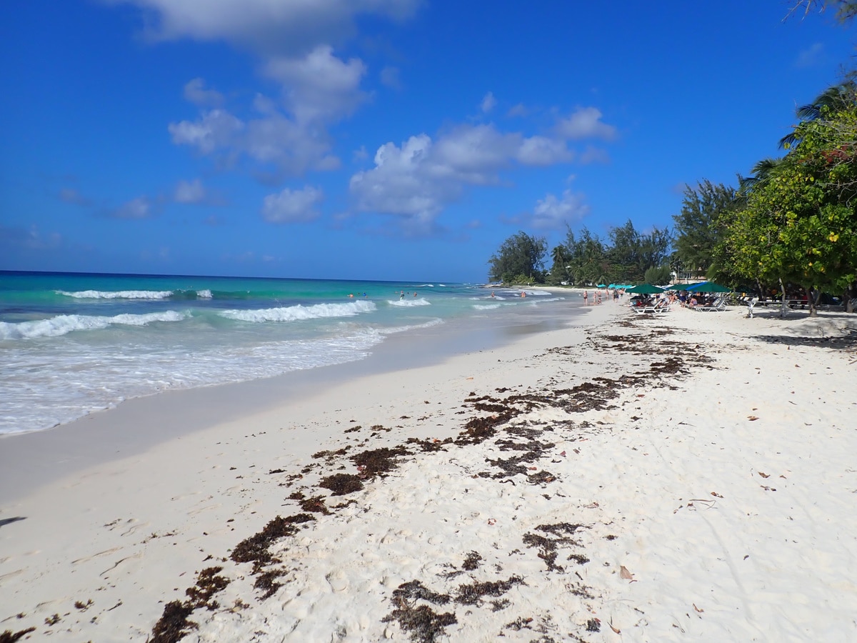 Travel 2 Row - Barbados