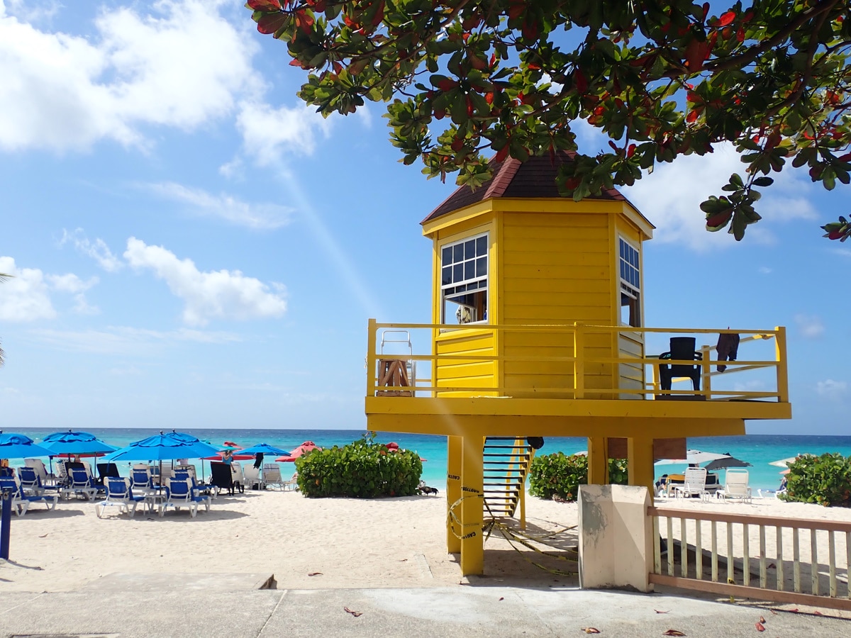 Travel 2 Row - Barbados